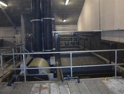 C-turbot-3
