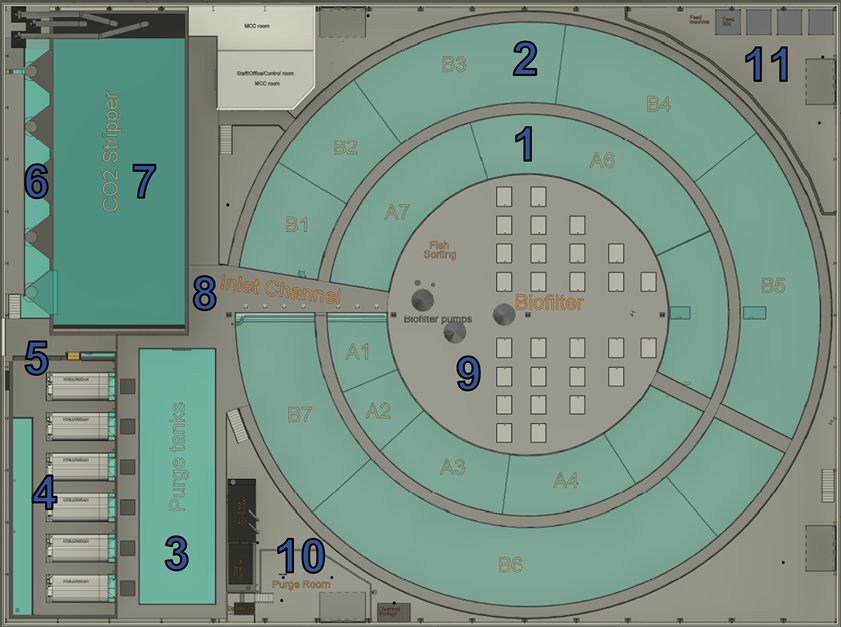 ras model 5 layout